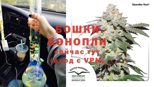 PSILOCYBIN Каменка