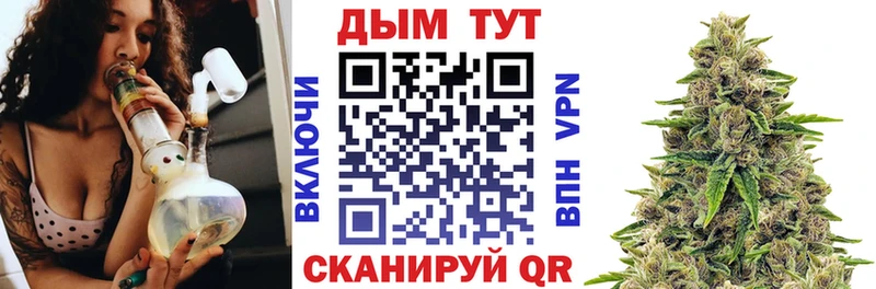 Каннабис план  купить   Хотьково 